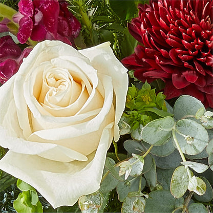 Cranberry Fizz Bouquet –  Flower Garden Florist, Fort Worth TX