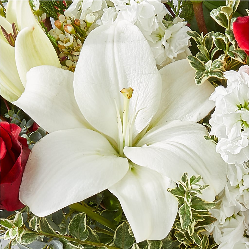 Twinkle Lights Bouquet –  Flower Garden Florist, Fort Worth TX