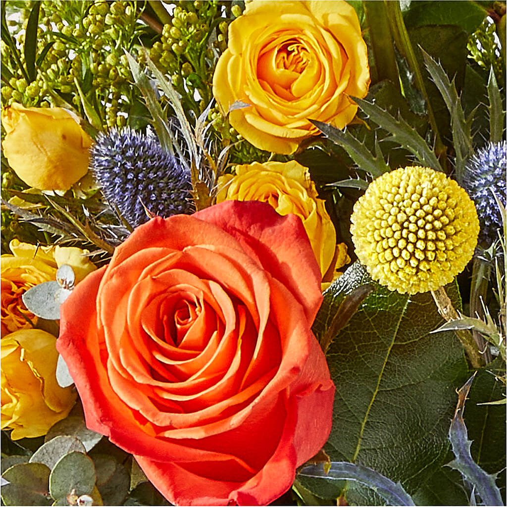 Disco Bouquet –  Flower Garden Florist, Fort Worth TX