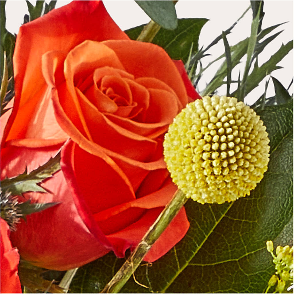 Disco Bouquet –  Flower Garden Florist, Fort Worth TX