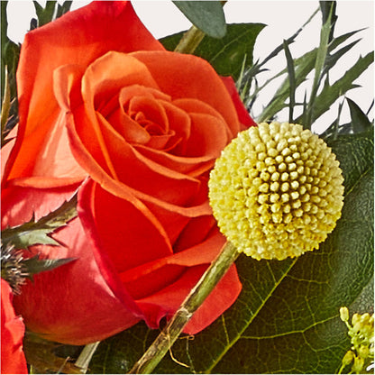 Disco Bouquet –  Flower Garden Florist, Fort Worth TX