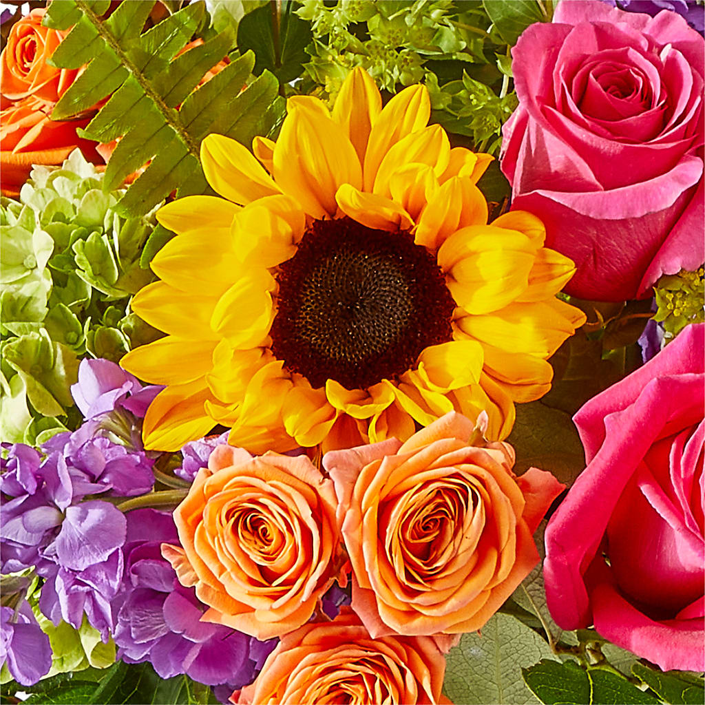 Vibrant Greetings Bouquet –  Flower Garden Florist, Fort Worth TX