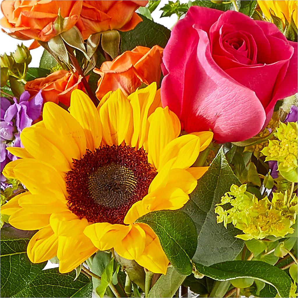 Vibrant Greetings Bouquet –  Flower Garden Florist, Fort Worth TX