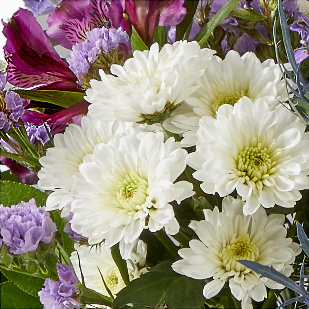 Shooting Star Bouquet –  Flower Garden Florist, Fort Worth TX
