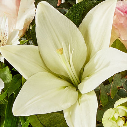 Ballet Slippers Bouquet –  Flower Garden Florist, Fort Worth TX