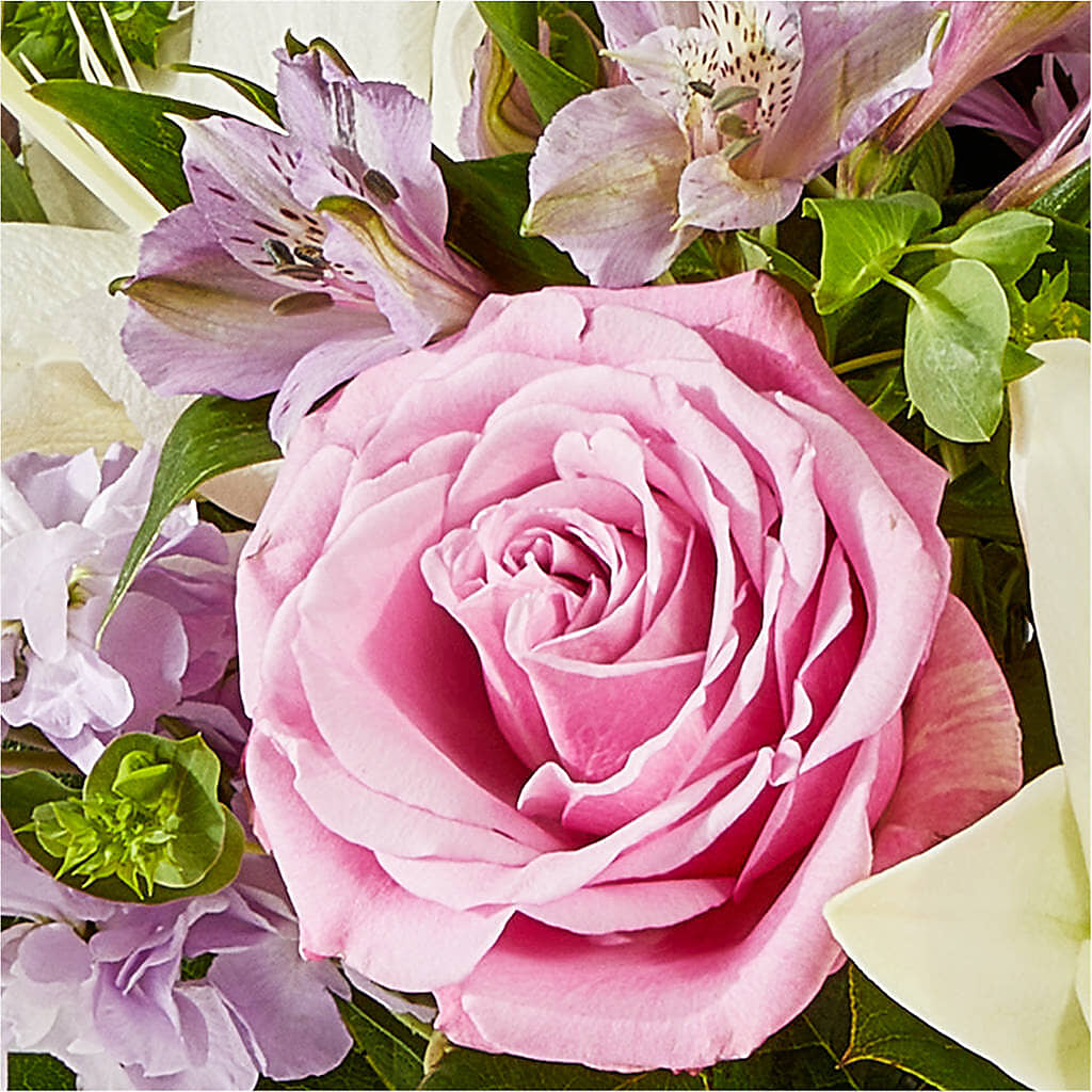 Daydreamer Bouquet –  Flower Garden Florist, Fort Worth TX
