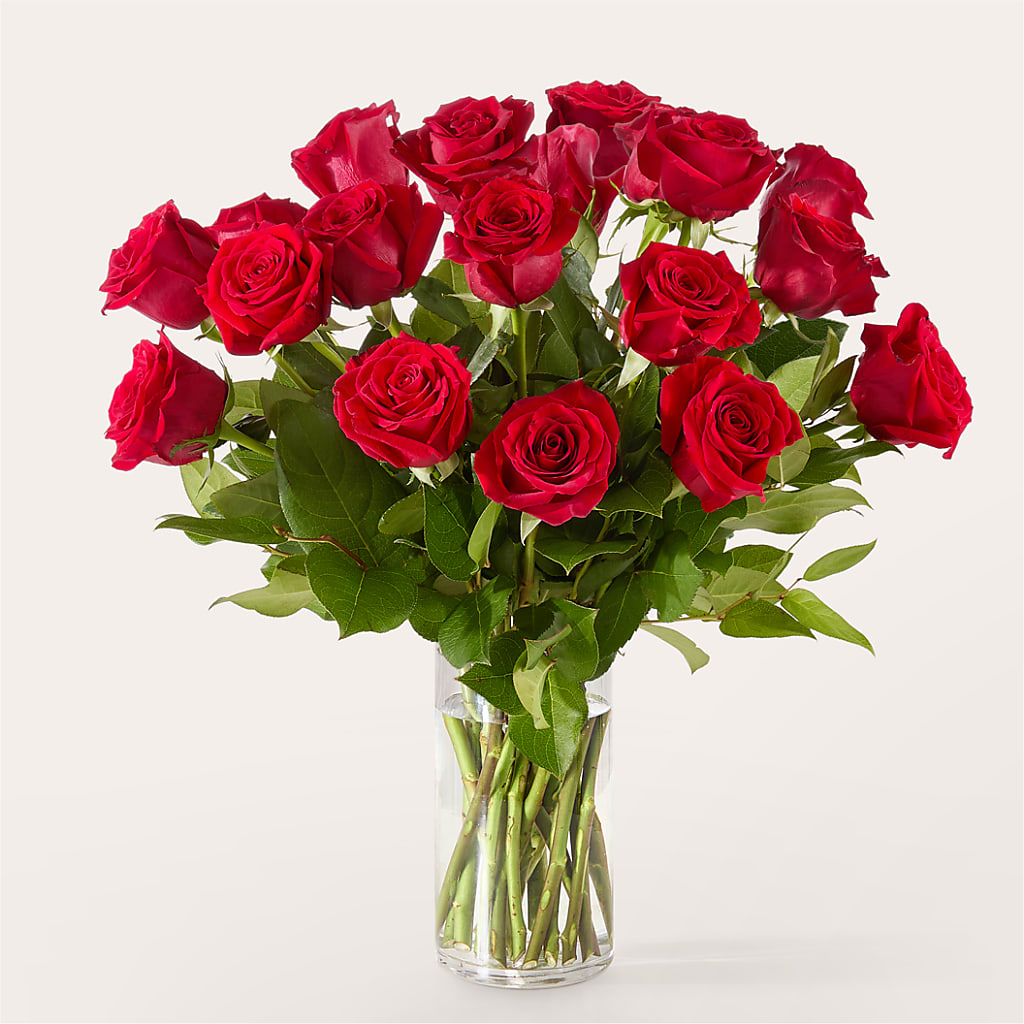 The One Red Rose Bouquet –  Flower Garden Florist, Fort Worth TX
