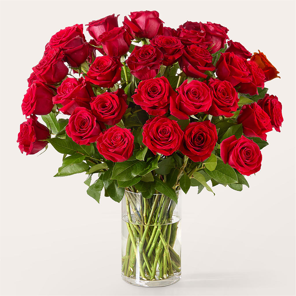 The One Red Rose Bouquet –  Flower Garden Florist, Fort Worth TX