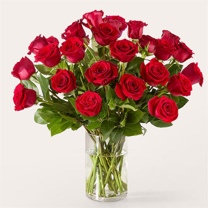 The One Red Rose Bouquet –  Flower Garden Florist, Fort Worth TX