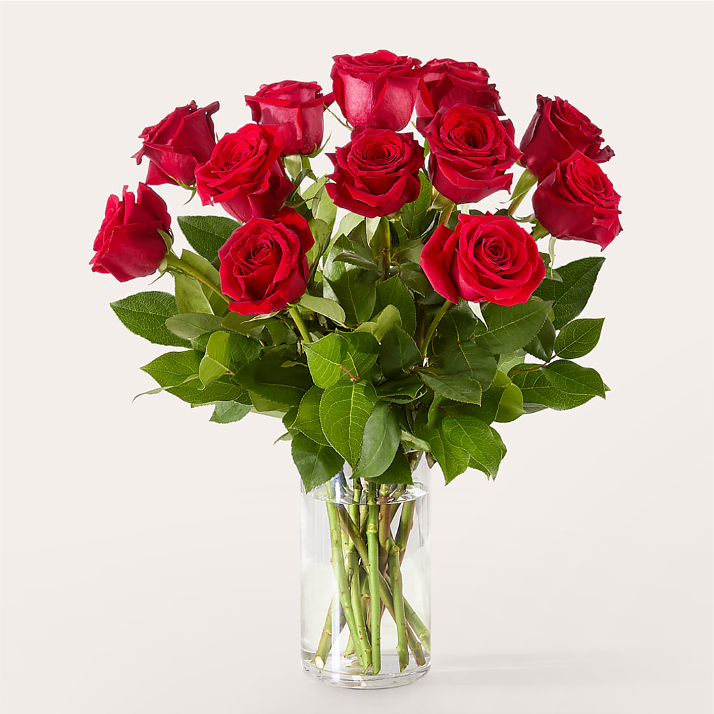 The One Red Rose Bouquet –  Flower Garden Florist, Fort Worth TX