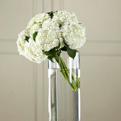 White Hydrangea Hand-Tied Bouquet –  Flower Garden Florist, Fort Worth TX