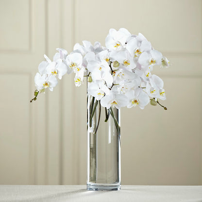 White Phalaenopsis Bouquet –  Flower Garden Florist, Fort Worth TX