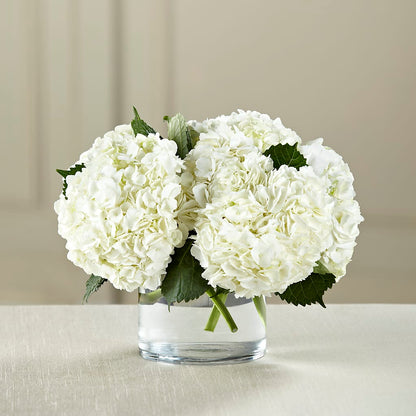 White Hydrangea Bouquet –  Flower Garden Florist, Fort Worth TX
